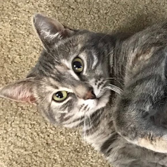 💲PRICED TO SELL💲 - Picture 1 of 1